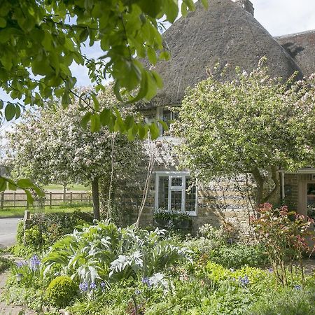 Tudor Cottage B&B Frampton Dorchester Bagian luar foto