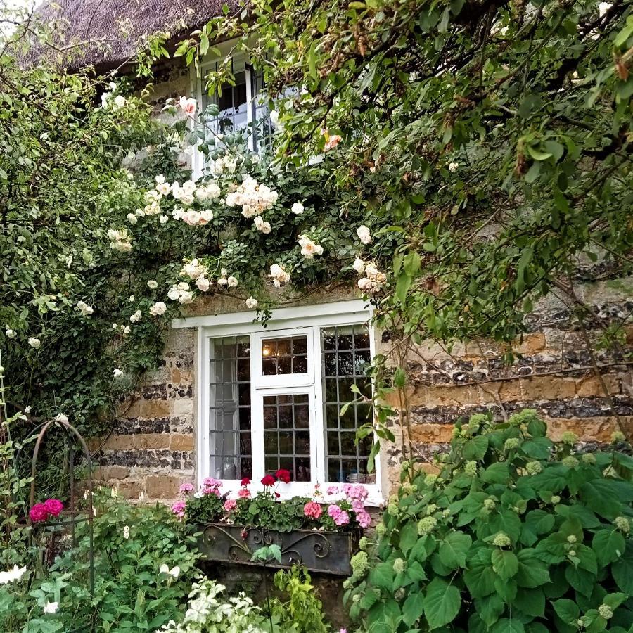 Tudor Cottage B&B Frampton Dorchester Bagian luar foto
