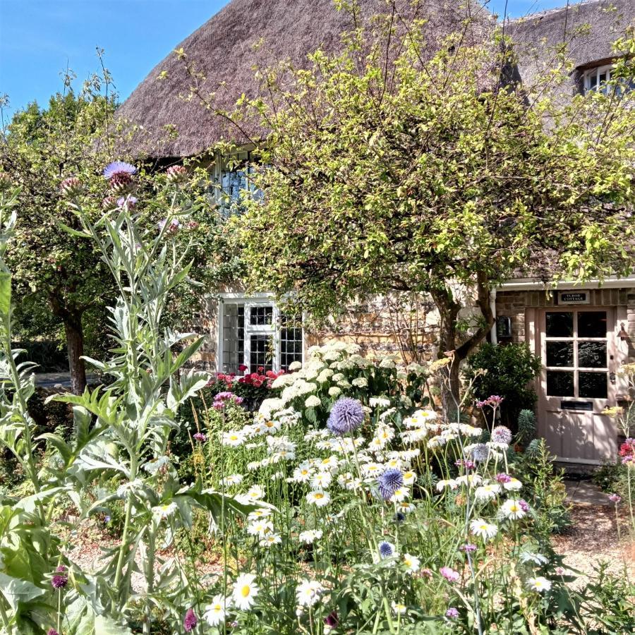 Tudor Cottage B&B Frampton Dorchester Bagian luar foto
