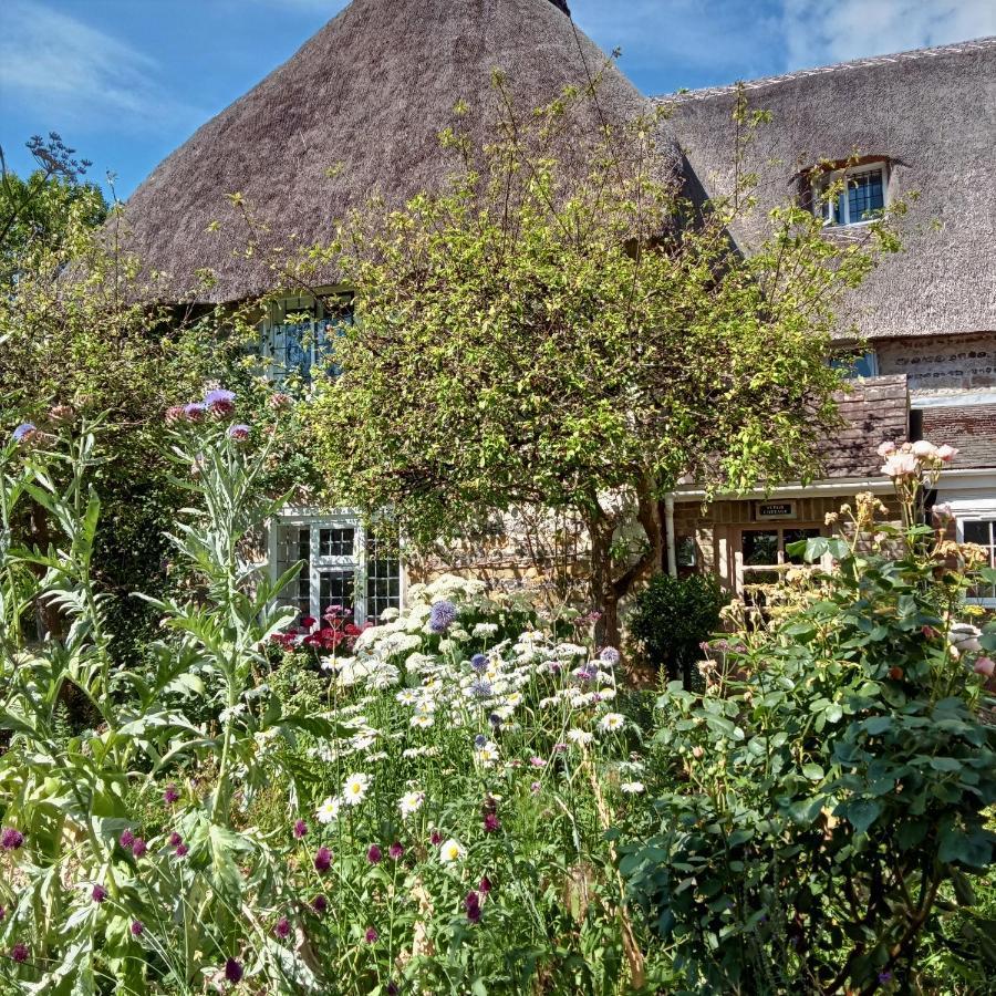 Tudor Cottage B&B Frampton Dorchester Bagian luar foto