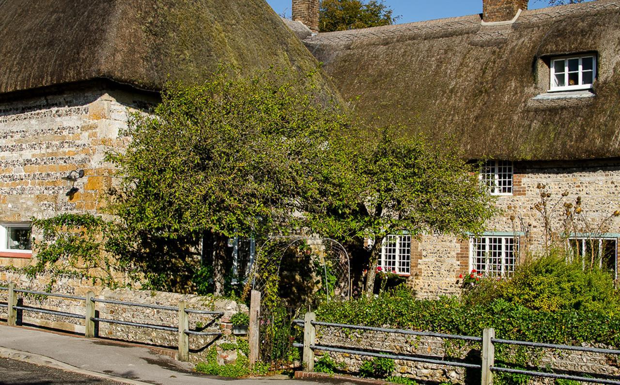 Tudor Cottage B&B Frampton Dorchester Bagian luar foto