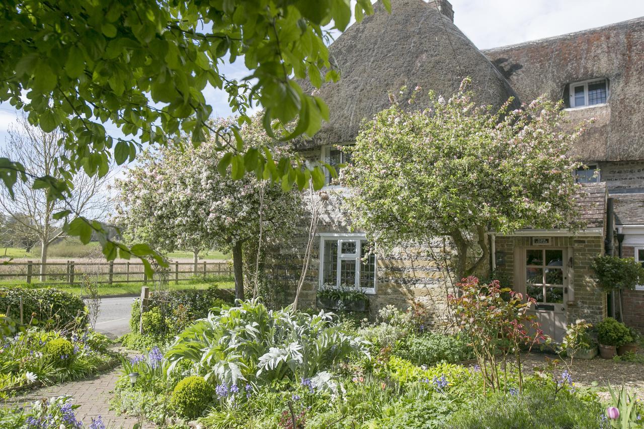 Tudor Cottage B&B Frampton Dorchester Bagian luar foto